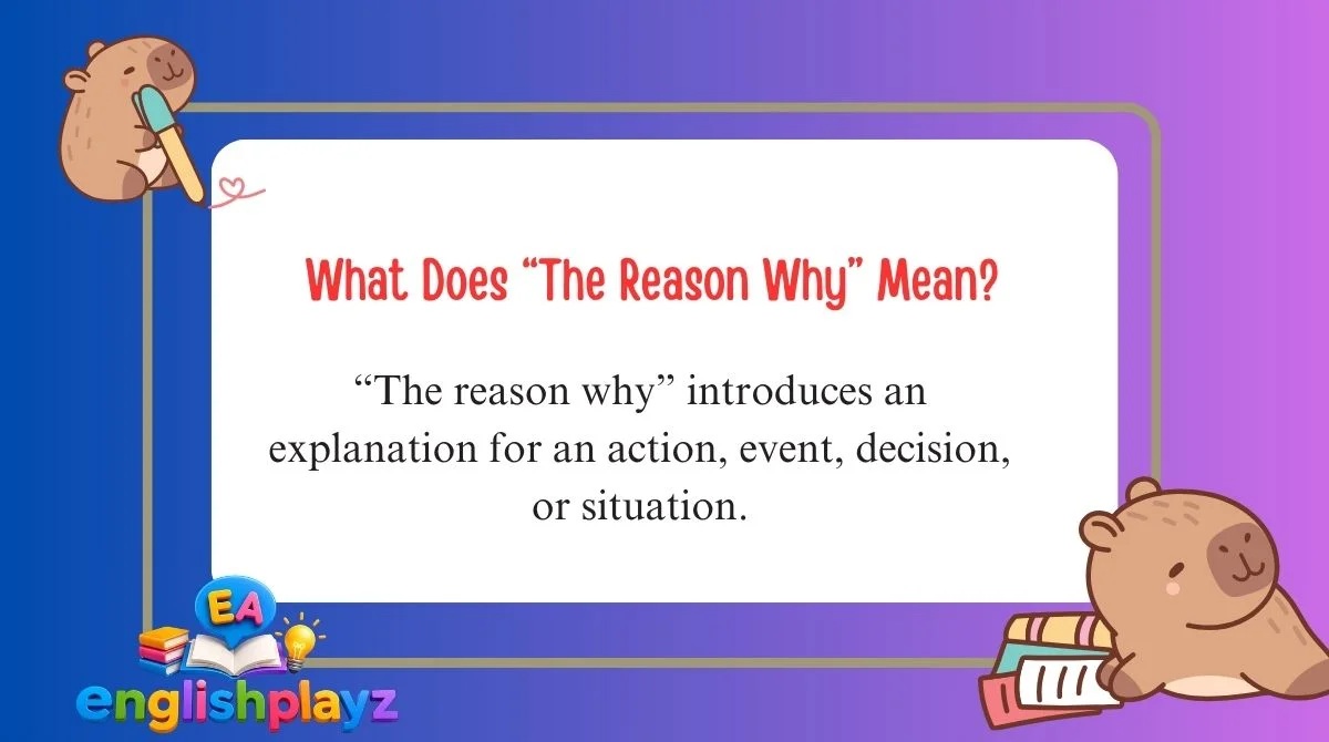 What Does “The Reason Why” Mean?