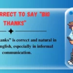 Is It Correct to Say “Big Thanks”