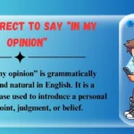 Is It Correct to Say “In My Opinion”