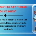 Is It Correct to Say “Thank You So Much”